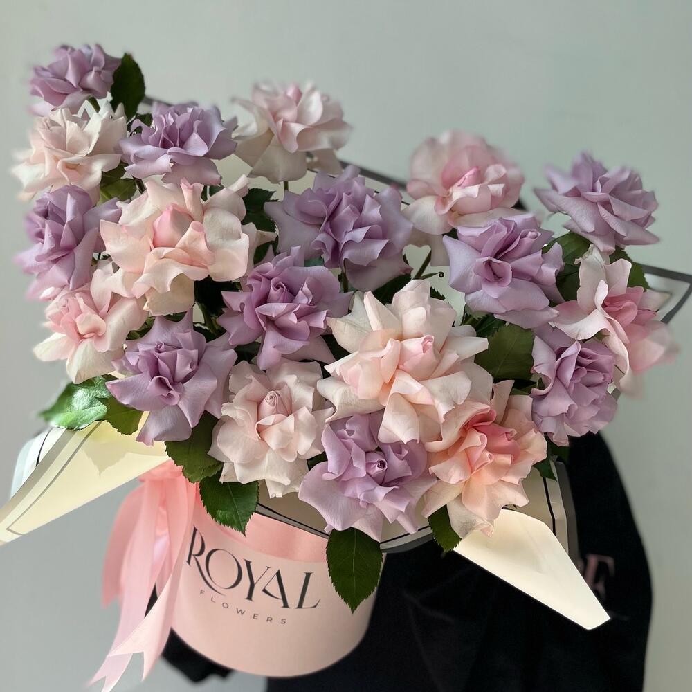 Акционная композиция