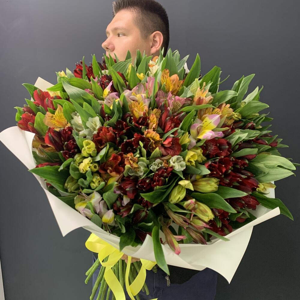 255 альстромерии